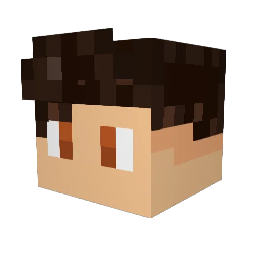 Allalla72 Minecraft avatar head, 3D render
