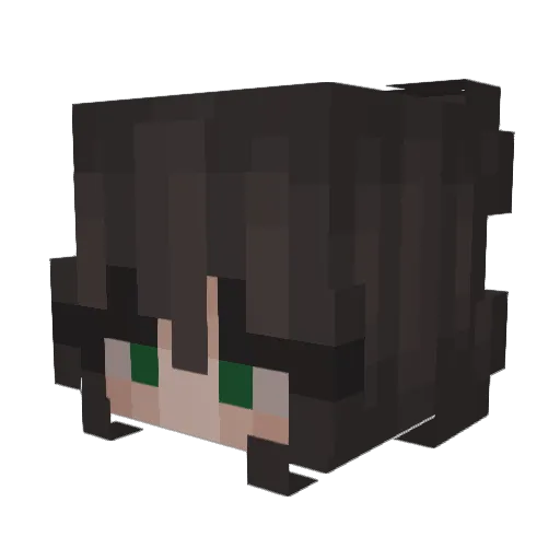 Allamii Minecraft avatar head, 3D render
