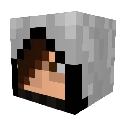 Allan4123 Minecraft avatar head, 3D render