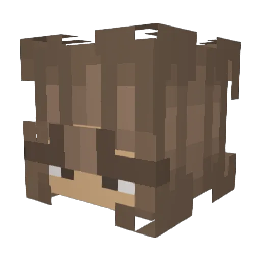 AllanBrallan99 Minecraft avatar head, 3D render