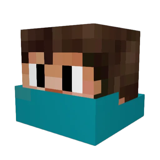 Allanon009 Minecraft avatar head, 3D render