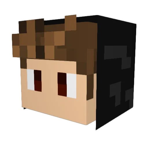 Allanyk19 Minecraft avatar head, 3D render