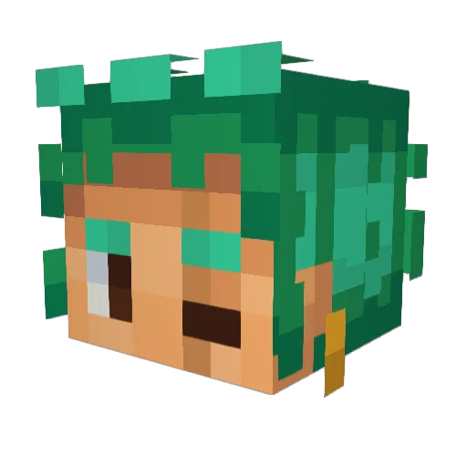 AllayMaster1980 Minecraft avatar head, 3D render