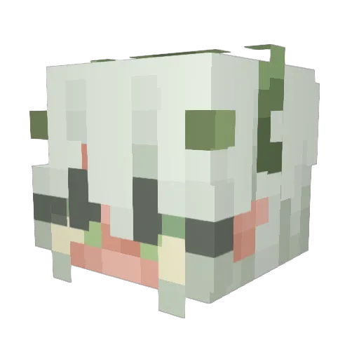 AllaysForDays Minecraft avatar head, 3D render