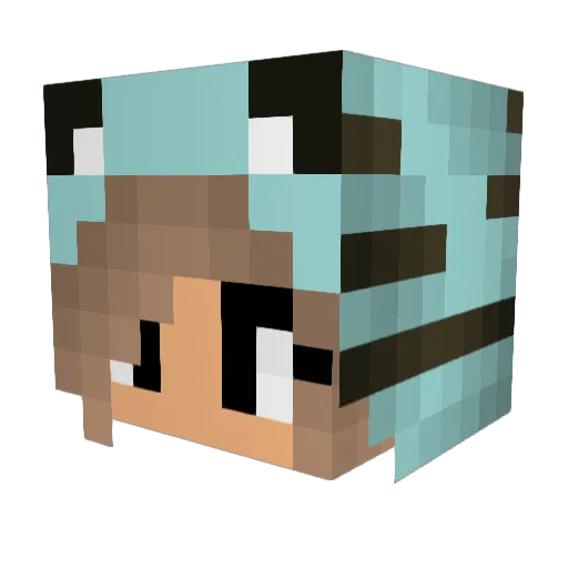 Allcats143 Minecraft avatar head, 3D render
