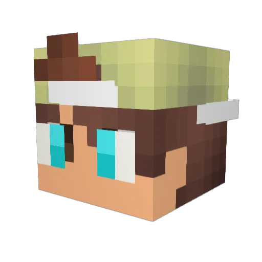 Alle1206 Minecraft avatar head, 3D render