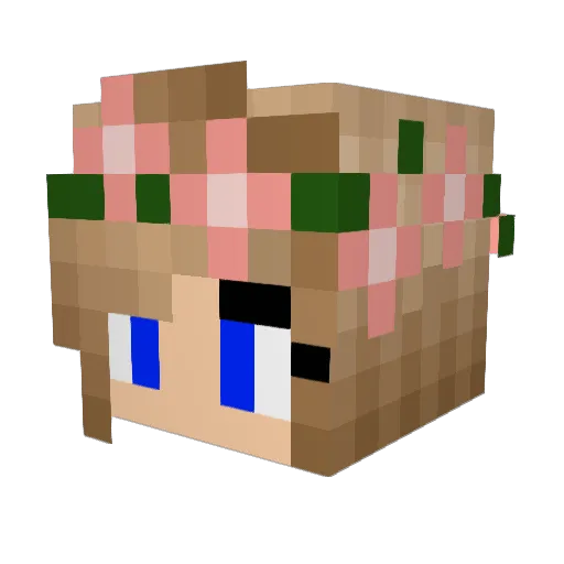 AlleAtnar Minecraft avatar head, 3D render