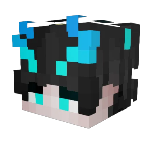 Alleananas Minecraft avatar head, 3D render