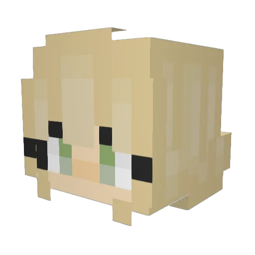 Allebe Minecraft avatar head, 3D render