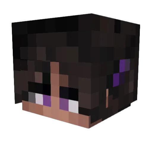 Alleenx Minecraft avatar head, 3D render
