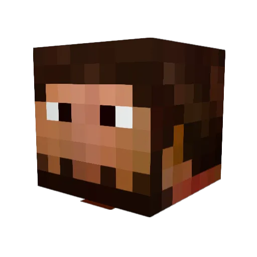 AllegedFelon Minecraft avatar head, 3D render