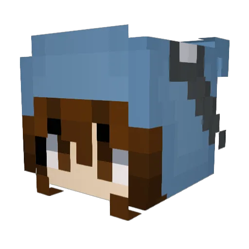 AllegedlyBagel Minecraft avatar head, 3D render