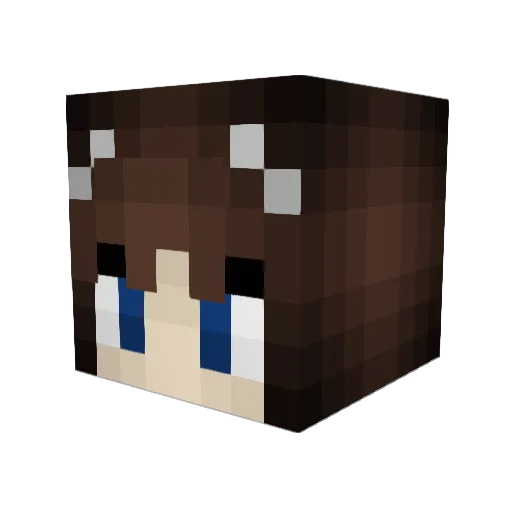 AllegiantAlt84 Minecraft avatar head, 3D render