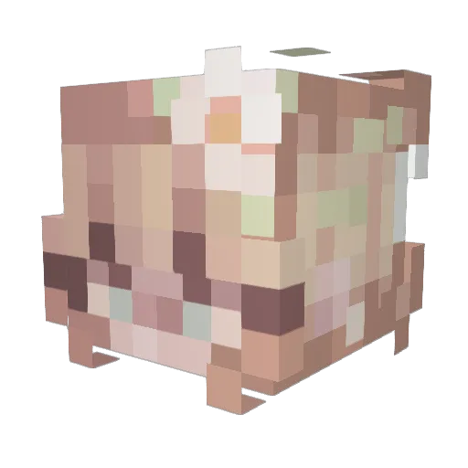 Allegroo Minecraft avatar head, 3D render