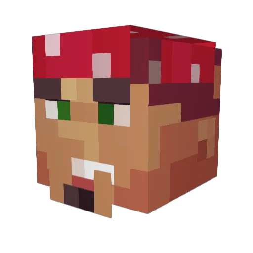 AllejoBR Minecraft avatar head, 3D render