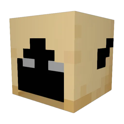 Allen8099 Minecraft avatar head, 3D render