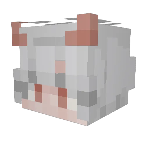 Allen970420 Minecraft avatar head, 3D render