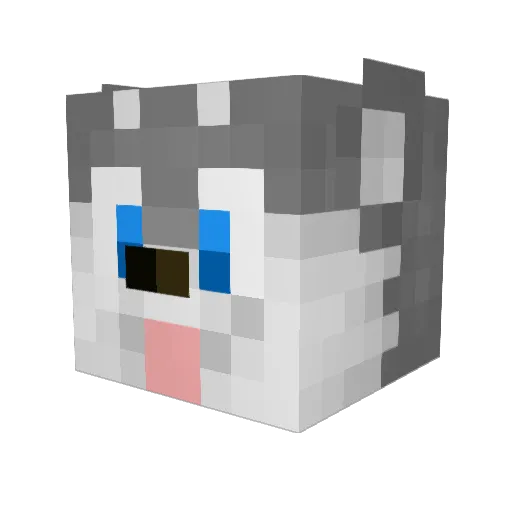 Allen_5932 Minecraft avatar head, 3D render