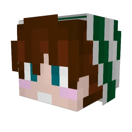 Allen_Iverson Minecraft avatar head, 3D render