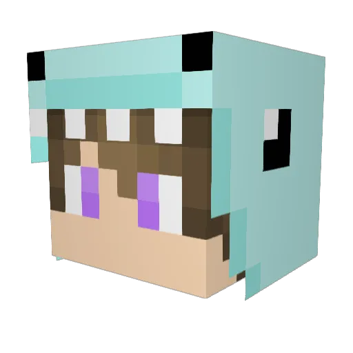Allen_Law Minecraft avatar head, 3D render