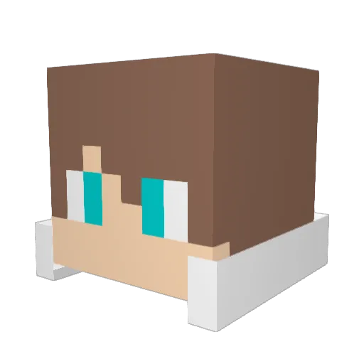 Allen_Wang Minecraft avatar head, 3D render