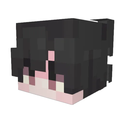 Allen_p Minecraft avatar head, 3D render