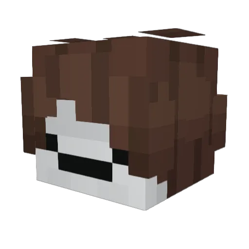 AllerSSD Minecraft avatar head, 3D render