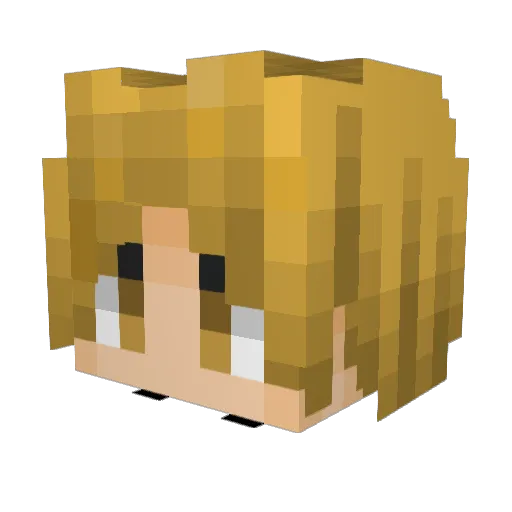 Allergiez Minecraft avatar head, 3D render
