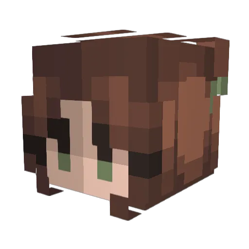 AllergysWife Minecraft avatar head, 3D render