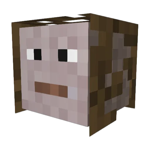 Minecraft-Avatar von Alles2010: Kopf als 3D-Render