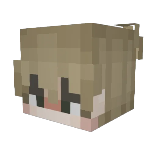 Allex33 Minecraft avatar head, 3D render