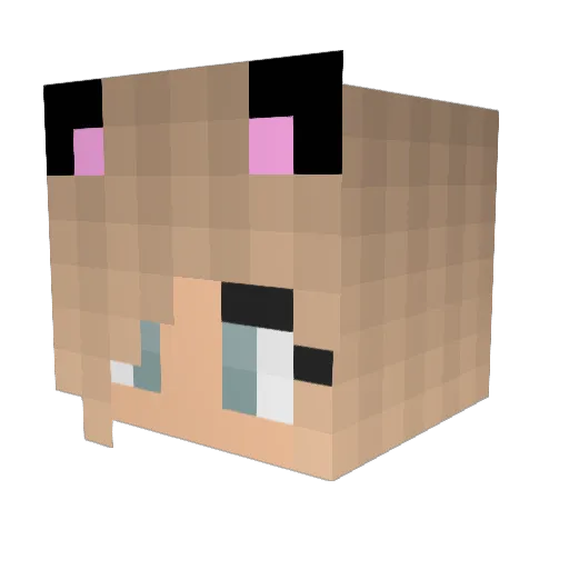 AlleyCatsOup Minecraft avatar head, 3D render