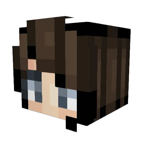 AlleyO Minecraft avatar head, 3D render