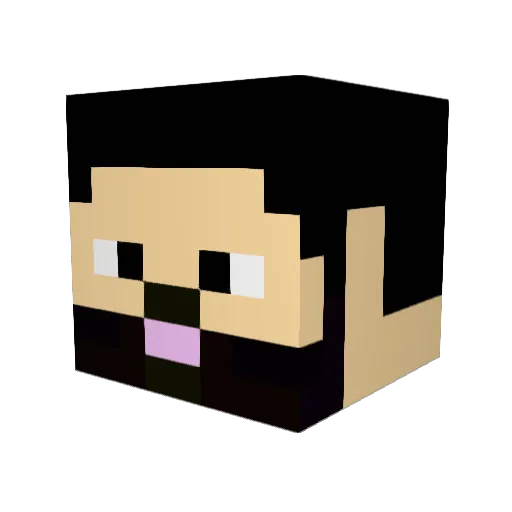 Alleycat77 Minecraft avatar head, 3D render
