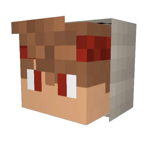 AllezKarlsruh Minecraft avatar head, 3D render