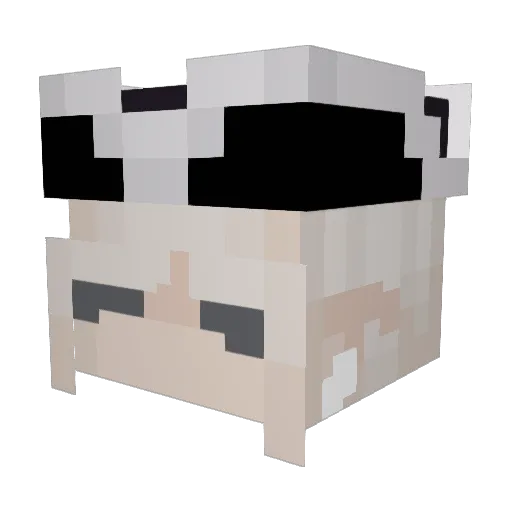 Allfieman Minecraft avatar head, 3D render