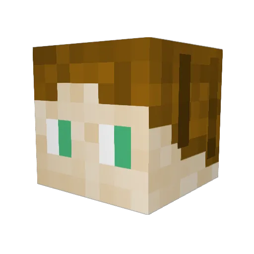 Alli360 Minecraft avatar head, 3D render