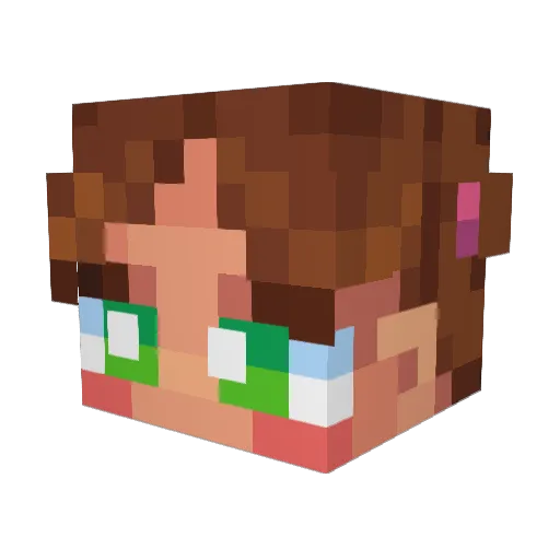 AlliBabaLlama Minecraft avatar head, 3D render