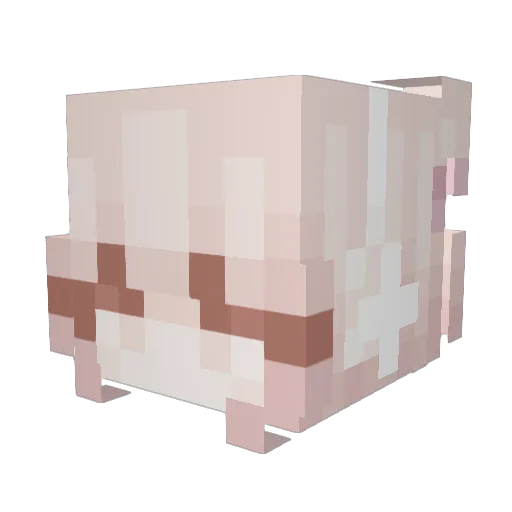 AlliIsMe Minecraft avatar head, 3D render