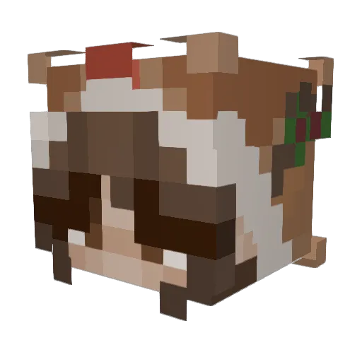 Alli_Noob Minecraft avatar head, 3D render