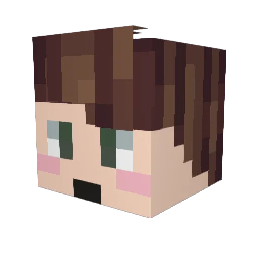 AllianP Minecraft avatar head, 3D render