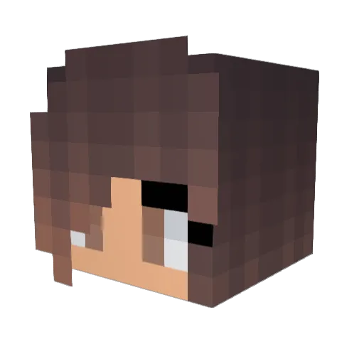 AlliancePlayz Minecraft avatar head, 3D render