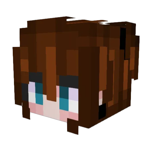 Allice_N1 Minecraft avatar head, 3D render