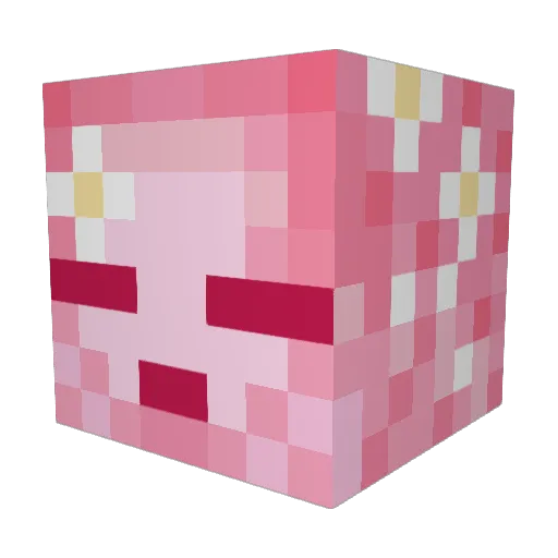 AllieG1121 Minecraft avatar head, 3D render