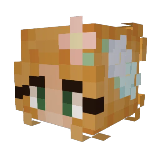 AlliePalm Minecraft avatar head, 3D render