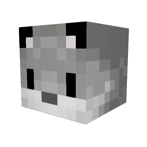 Allie_Astra Minecraft avatar head, 3D render