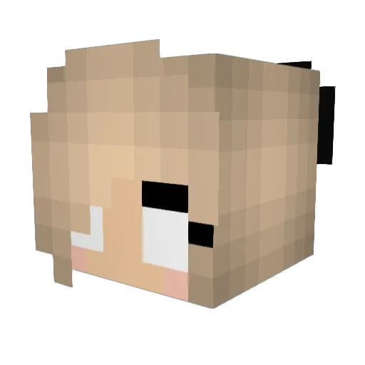 Alliesunn Minecraft avatar head, 3D render