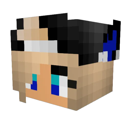 Alliez16 Minecraft avatar head, 3D render