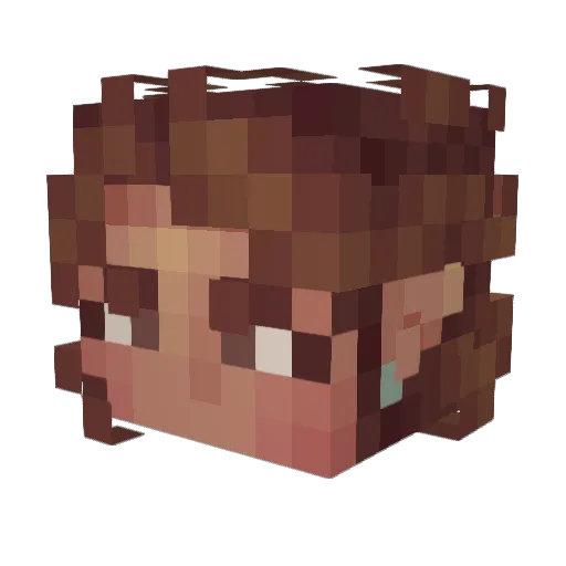 Alligotti Minecraft avatar head, 3D render