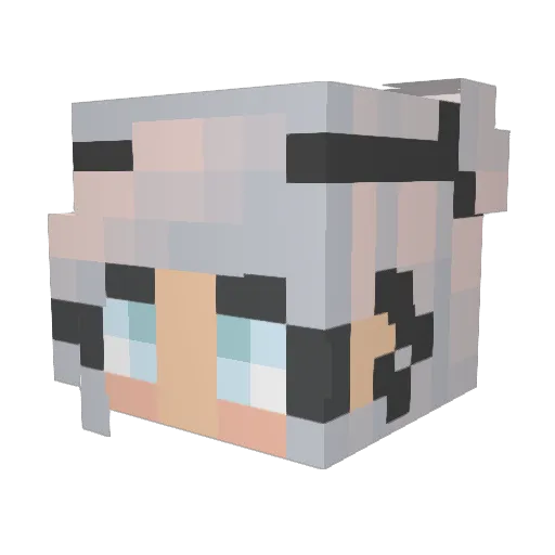 Allikat Minecraft avatar head, 3D render